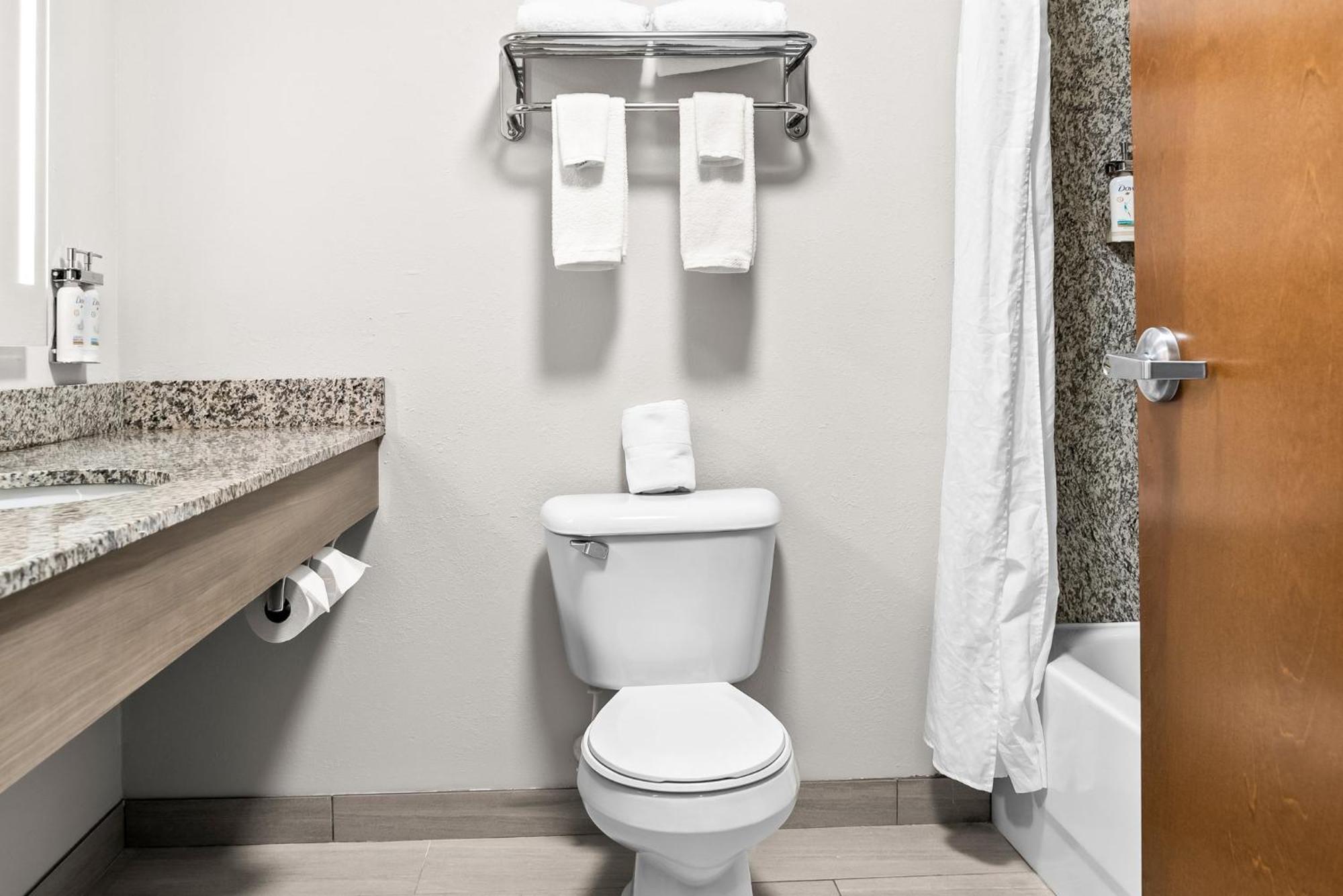 Holiday Inn Express & Suites Detroit - Novi By Ihg Ngoại thất bức ảnh